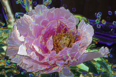 Photographie intitulée "Demoiselle en rose.…" par Sniegourotchka, Œuvre d'art originale, Photographie manipulée