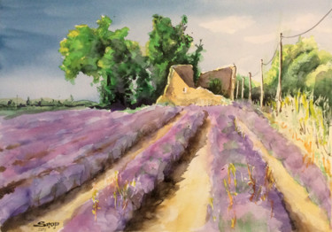 Painting titled "Lavandes à Valensol…" by Snop, Original Artwork, Watercolor