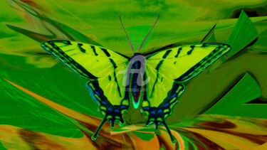 Digitale Kunst getiteld "Butterfly" door Sobreira Airton, Origineel Kunstwerk, Digitaal Schilderwerk