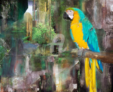 Digital Arts titled "Macaw" by Sobreira Airton, Original Artwork, Digital Painting