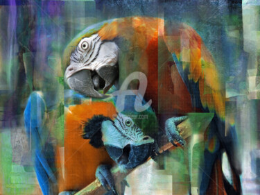 Digital Arts titled "Two Macaws" by Sobreira Airton, Original Artwork, Digital Painting