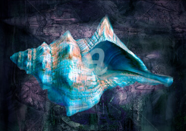 Digital Arts titled "Sea Shell" by Sobreira Airton, Original Artwork, Digital Painting