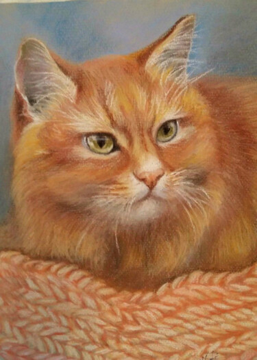 Painting titled "Рыжий кот" by Sofiia Kasymova, Original Artwork, Pastel