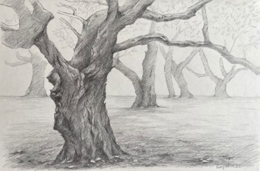 Dessin intitulée "Wood" par Sofiia Kulichkova (Sonjakul), Œuvre d'art originale, Crayon