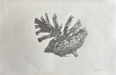 Desenho intitulada "Pinecone" por Sofiia Kulichkova (Sonjakul), Obras de arte originais, Lápis