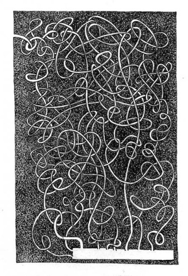 Drawing titled "labyrinthe" by Sojo, Original Artwork