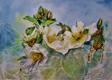 Pintura intitulada "Camellia Japonica" por Solange Esposito (SEsposito), Obras de arte originais, Aquarela