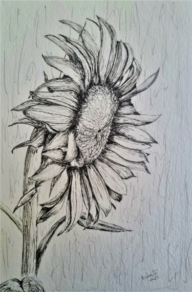 Dibujo titulada "Flor de Girassol" por Solange Esposito (SEsposito), Obra de arte original, Tinta