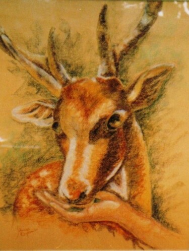 Desenho intitulada "Cerbiatto - Bambi" por Solange Esposito (SEsposito), Obras de arte originais, Pastel