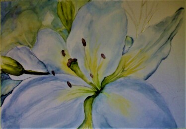 Painting titled "Lirio Bianco" by Solange Esposito (SEsposito), Original Artwork, Watercolor