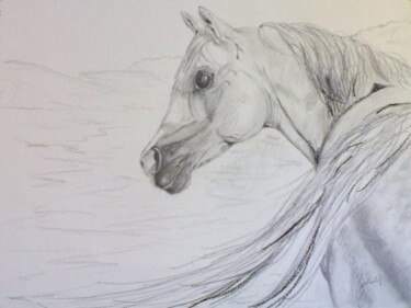 Drawing titled "Mangalarga Marchador" by Solange Esposito (SEsposito), Original Artwork, Graphite