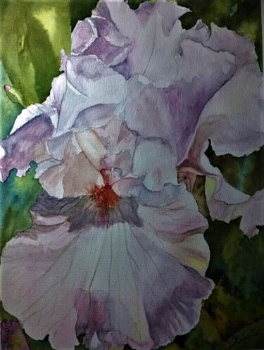Painting titled "Iris" by Solange Esposito (SEsposito), Original Artwork, Watercolor