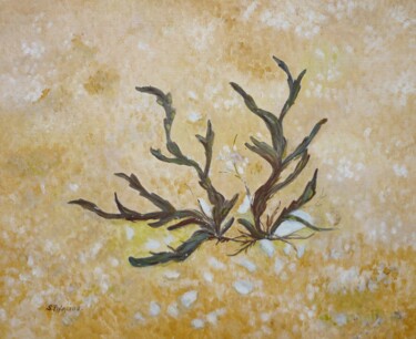 Peinture intitulée "Sable et algues "le…" par Solange Palacios Dupont, Œuvre d'art originale, Huile Monté sur Châssis en bois