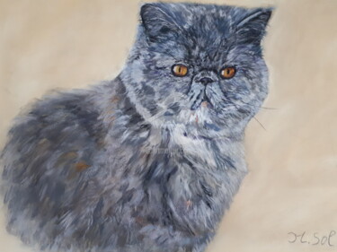 Malerei mit dem Titel "Portrait de chat" von Sol.Art, Original-Kunstwerk, Pastell