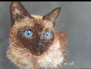 Painting titled "Portrait sur  comma…" by Sol.Art, Original Artwork, Pastel Mounted on Other rigid panel