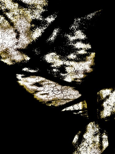 Photography titled "FRAGMENTS" by Solune, Original Artwork, Digital Photography
