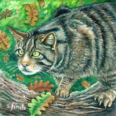 Schilderij getiteld "Spirit of Wildcat" door Sonia Finch, Origineel Kunstwerk, Olie Gemonteerd op Frame voor houten brancard
