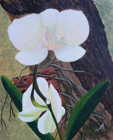 Peinture intitulée "ORCHIDEE BLANCHE" par Sonia Caruso, Œuvre d'art originale