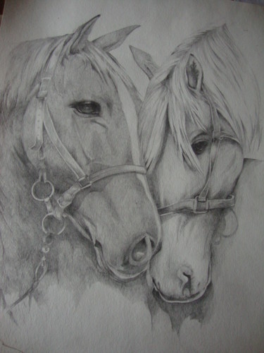 Drawing titled "HORSES" by Sonja Brzak, Original Artwork, Pencil