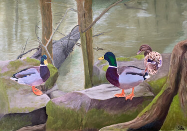 Pintura titulada "Ducks by The Råå ri…" por Sonny Andersson, Obra de arte original, Oleo