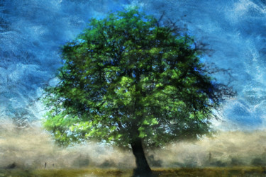 AUTUMN IS COMING Digitale Künste mit dem Titel "AUTUMN IS COMING" von Soontou Baarn, Original-Kunstwerk, Digitale Malerei