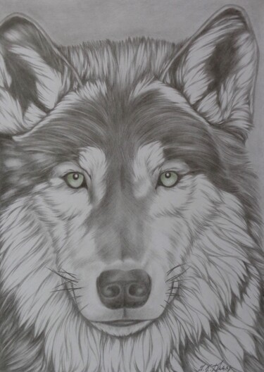 Drawing titled "Chien-loup" by Sophie Dumont (heavenly), Original Artwork, Graphite