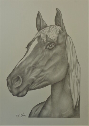 Drawing titled "Cheval alezan brûlé…" by Sophie Dumont (heavenly), Original Artwork, Pencil