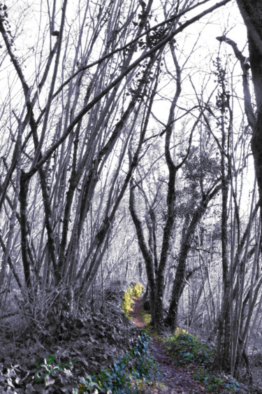 Photographie intitulée "Chemin d'hiver." par Sophie Et Lionel Pardessus, Œuvre d'art originale, Photographie manipulée