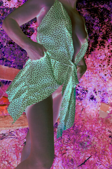 Цифровое искусство под названием "La robe." - Sophie Et Lionel Pardessus, Подлинное произведение искусства, 2D Цифровая Рабо…