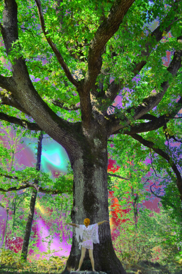 Photography titled "L'arbre." by Sophie Et Lionel Pardessus, Original Artwork, Manipulated Photography