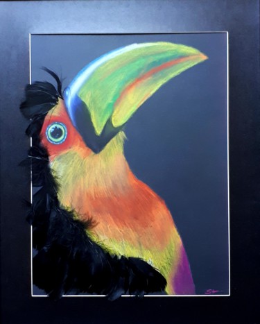 Drawing titled "Toucan" by Sophie Haldi, Original Artwork, Pastel Mounted on Wood Panel