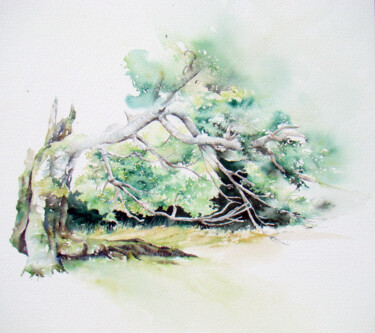 Peinture intitulée "fayard Vercors" par Sophie Liétar, Œuvre d'art originale, Aquarelle