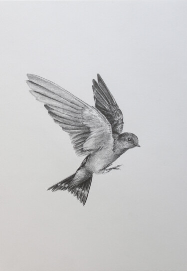 Drawing titled "Grace in Flight" by Sophie Marts, Original Artwork, Pencil