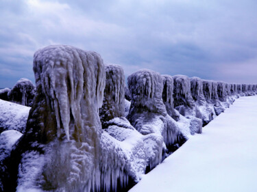 Photography titled "chevaliers-de-glace" by Sorin Niculae Lazar, Original Artwork