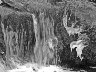 Photographie intitulée "oiseaux-de-glace" par Sorin Niculae Lazar, Œuvre d'art originale