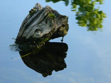 Photographie intitulée "Le-monstre-dans-leau" par Sorin Niculae Lazar, Œuvre d'art originale