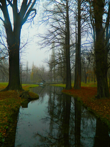 Photographie intitulée "In-the-park" par Sorin Niculae Lazar, Œuvre d'art originale