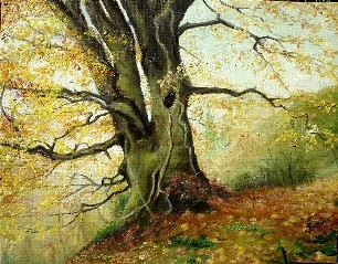 Painting titled "Tree" by Sorinapostolescu, Original Artwork, Oil