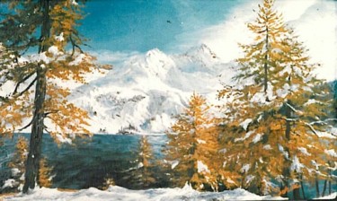 Pintura titulada "Winter in Austria" por Sorinapostolescu, Obra de arte original, Oleo