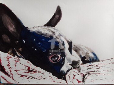Painting titled "BosstonTerrier puppy" by Sosokumsiashvili, Original Artwork, Acrylic