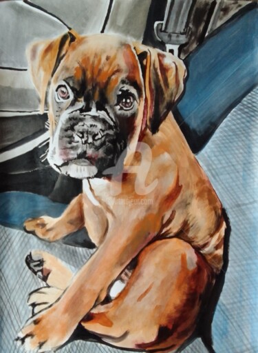 Painting titled "Boxer puppy" by Sosokumsiashvili, Original Artwork, Acrylic
