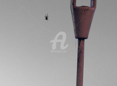 Photographie intitulée "urban spider color…" par Splash, Œuvre d'art originale