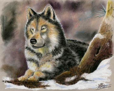 Peinture intitulée "Loup dans la neige" par Saïd Serge Berkane, Œuvre d'art originale