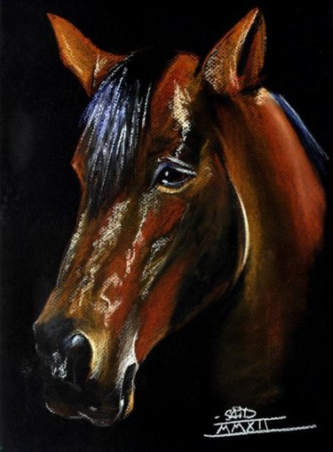 Painting titled "Tête de cheval" by Saïd Serge Berkane, Original Artwork, Oil