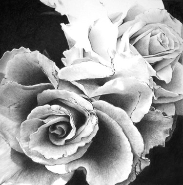 Painting titled "pencil_rose.jpg" by Anna Shipstone, Original Artwork