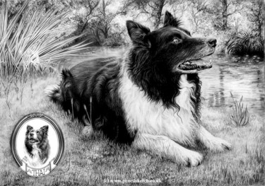 Drawing titled "dog-pencil-portrait…" by Anna Shipstone, Original Artwork, Other