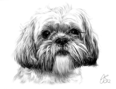 Drawing titled "pencil-portrait-pet…" by Anna Shipstone, Original Artwork, Other