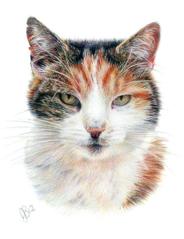 Drawing titled "pet-portrait-18.jpg" by Anna Shipstone, Original Artwork, Other