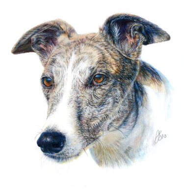 Drawing titled "pet-portrait-12.jpg" by Anna Shipstone, Original Artwork, Other