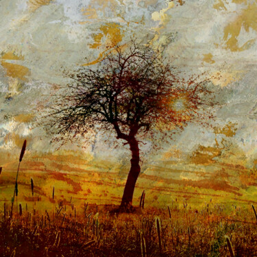 Photography titled "FIELD" by Srdjan Jevtic, Original Artwork